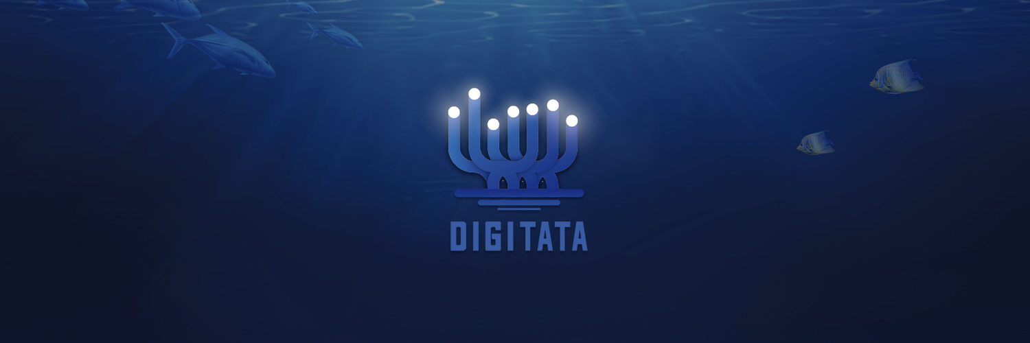 Digitata Capital banner