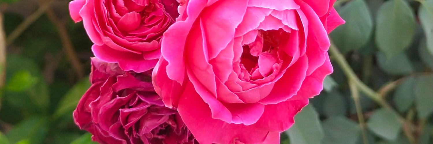 VikasKumar725's profile banner image