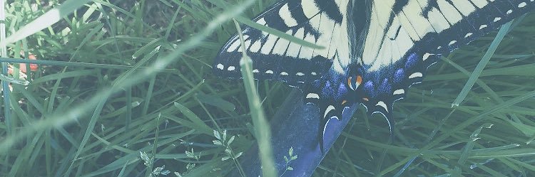 emmmarife's profile banner image