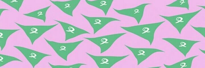 Flor_Echaniz's profile banner image