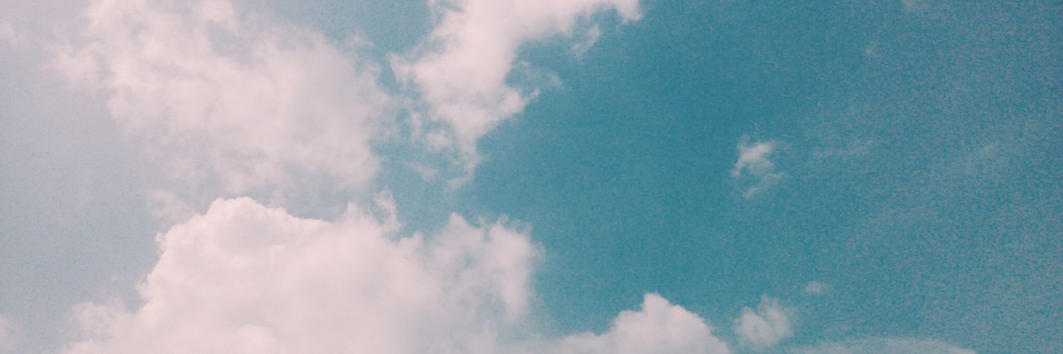Agnes banner