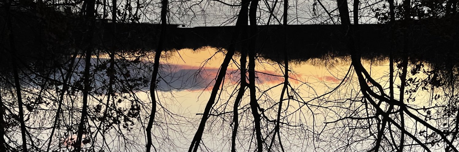Veronicak420's profile banner image