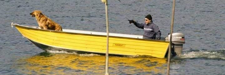 Andrés Gillmore Evers banner