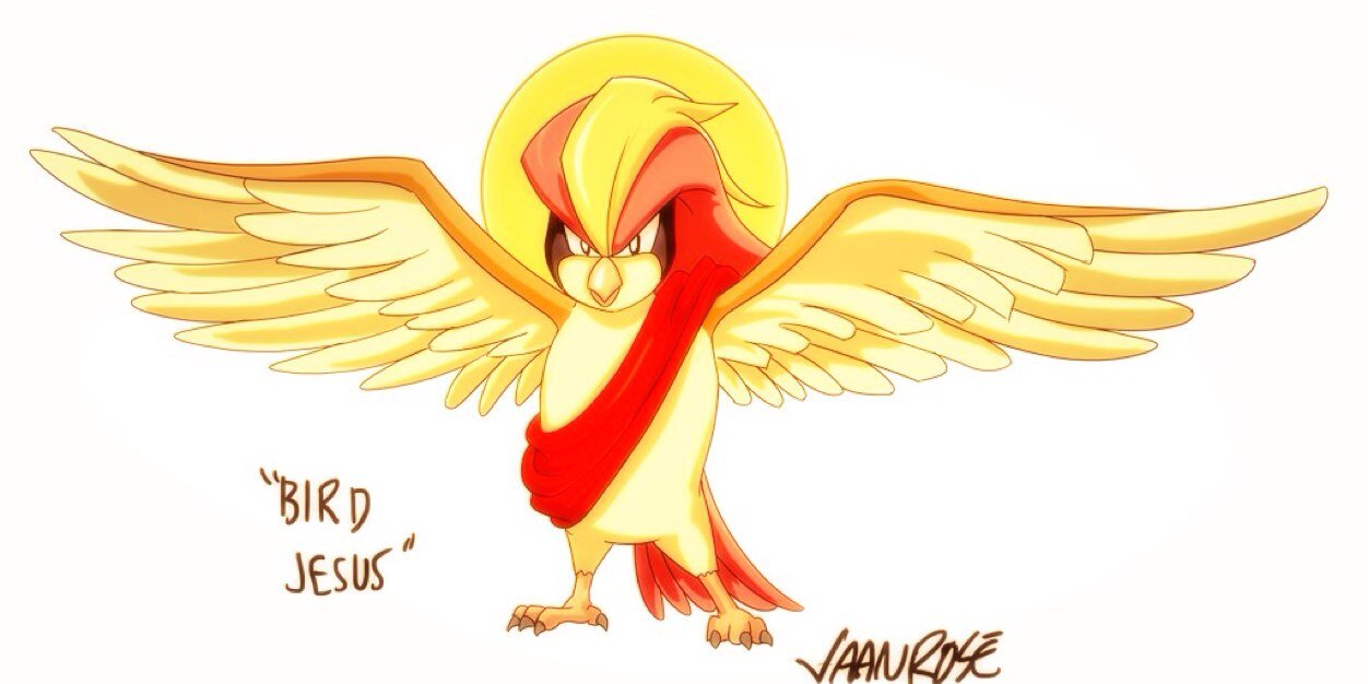 ProphetPidgeot's profile banner image