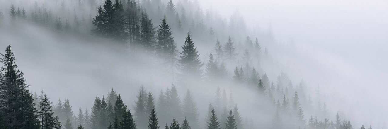 koseenka's profile banner image