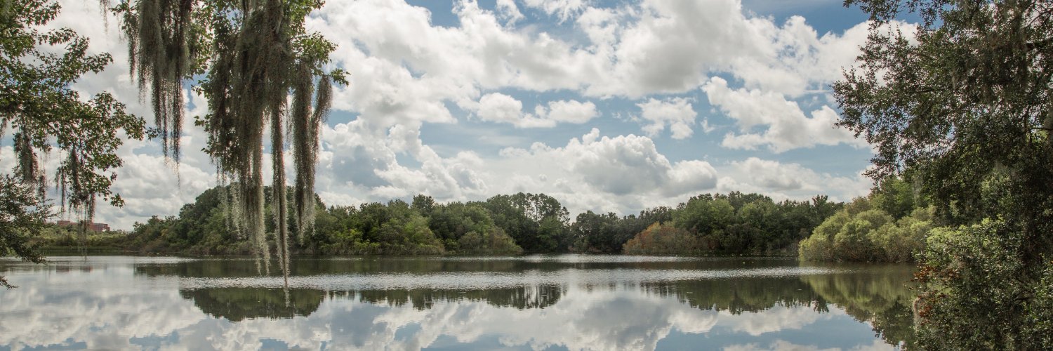 Albert De Vries banner