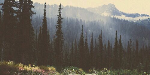 damonallgdr's profile banner image
