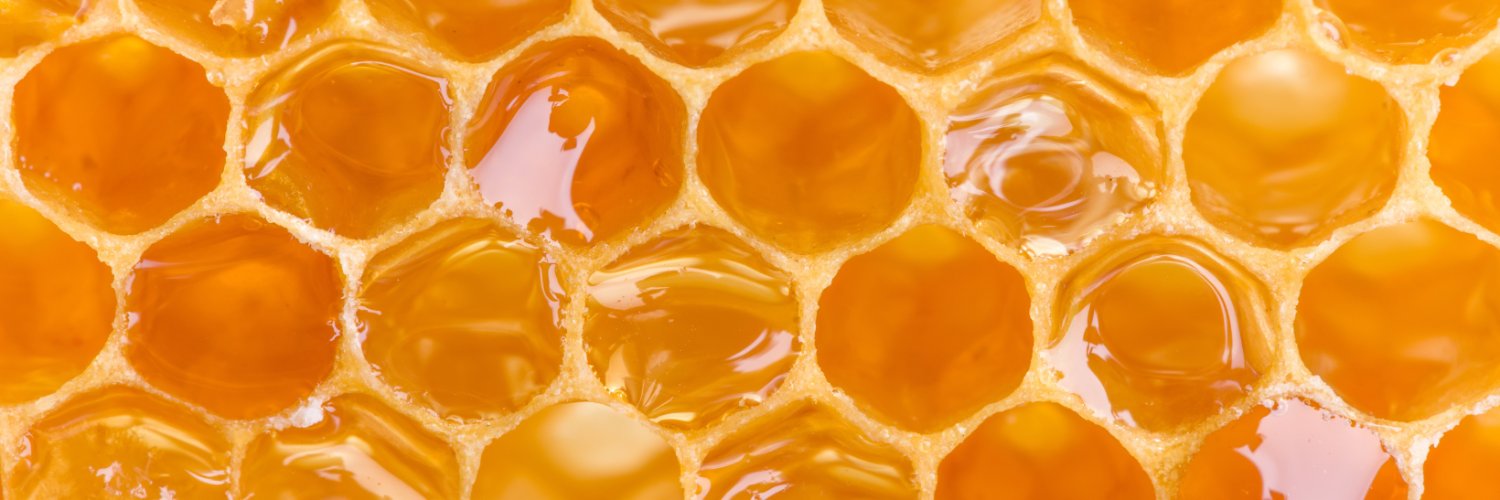 Claxton Elementary banner