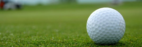 TDTurf Profile Banner