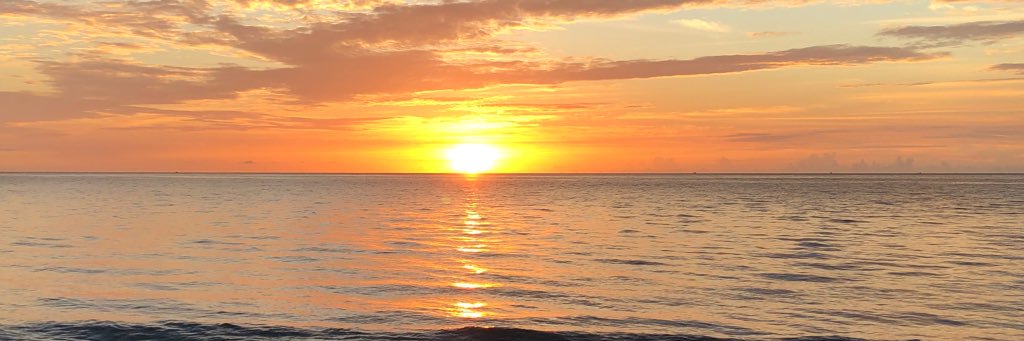laurdickson6's profile banner image