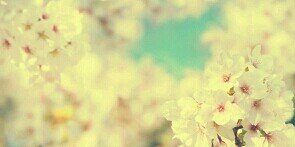 xFakingCassie's profile banner image