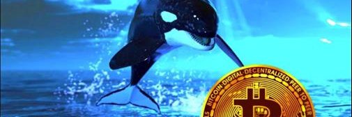 Kill da Whaloe - banner