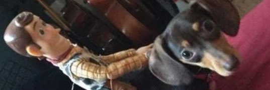 vaderator's profile banner image