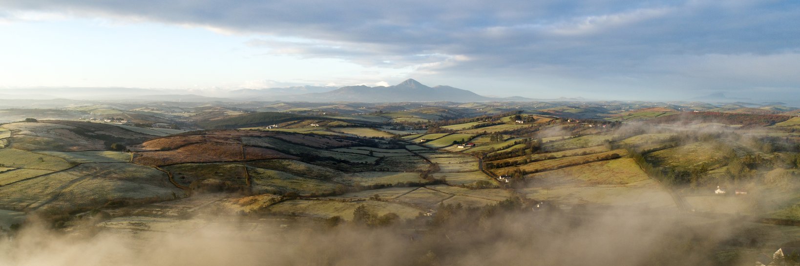 Firefly Photography banner