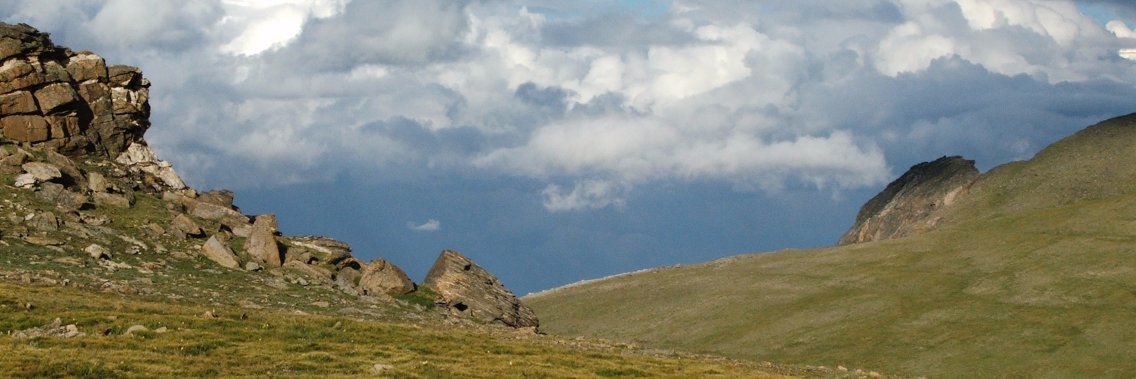 MoBradley's profile banner image