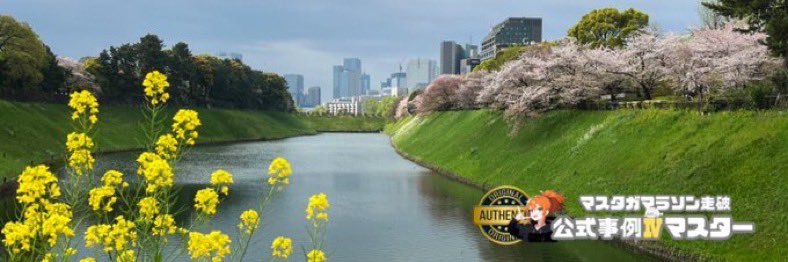 arinco_72's profile banner image