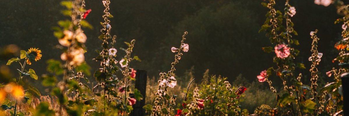 trulylisset's profile banner image
