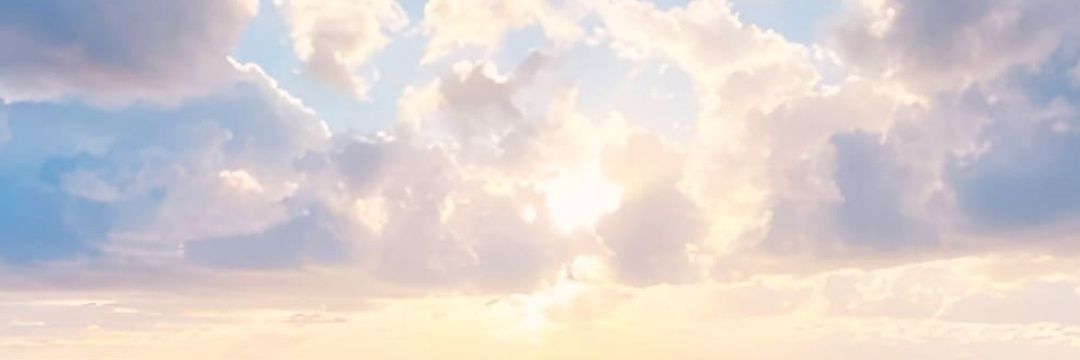 421_RENTEN's profile banner image
