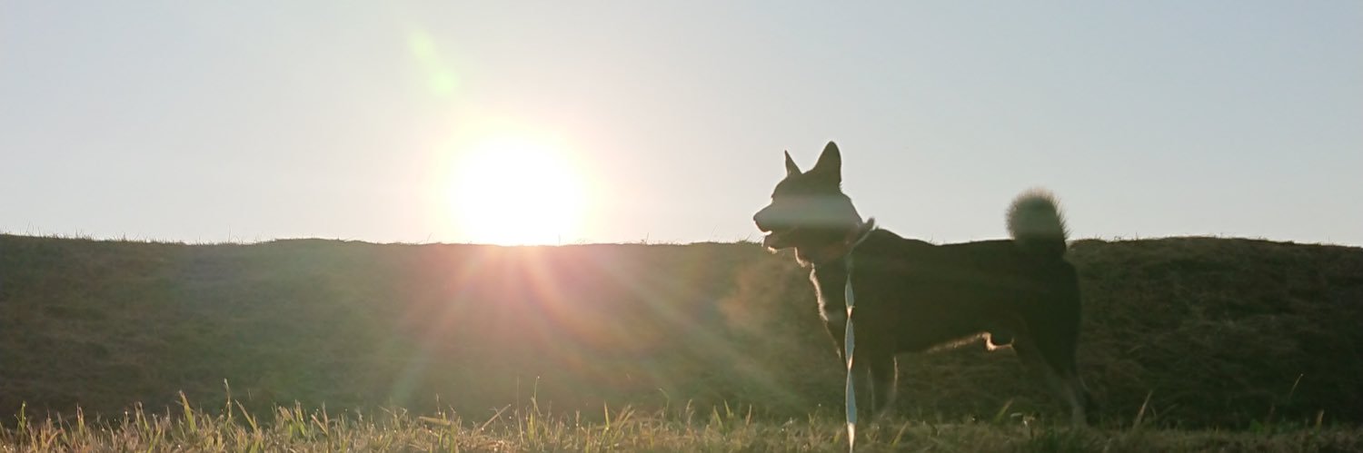 mutogiko's profile banner image