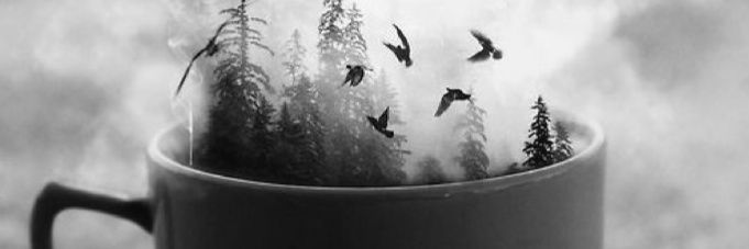 thewritingscott's profile banner image