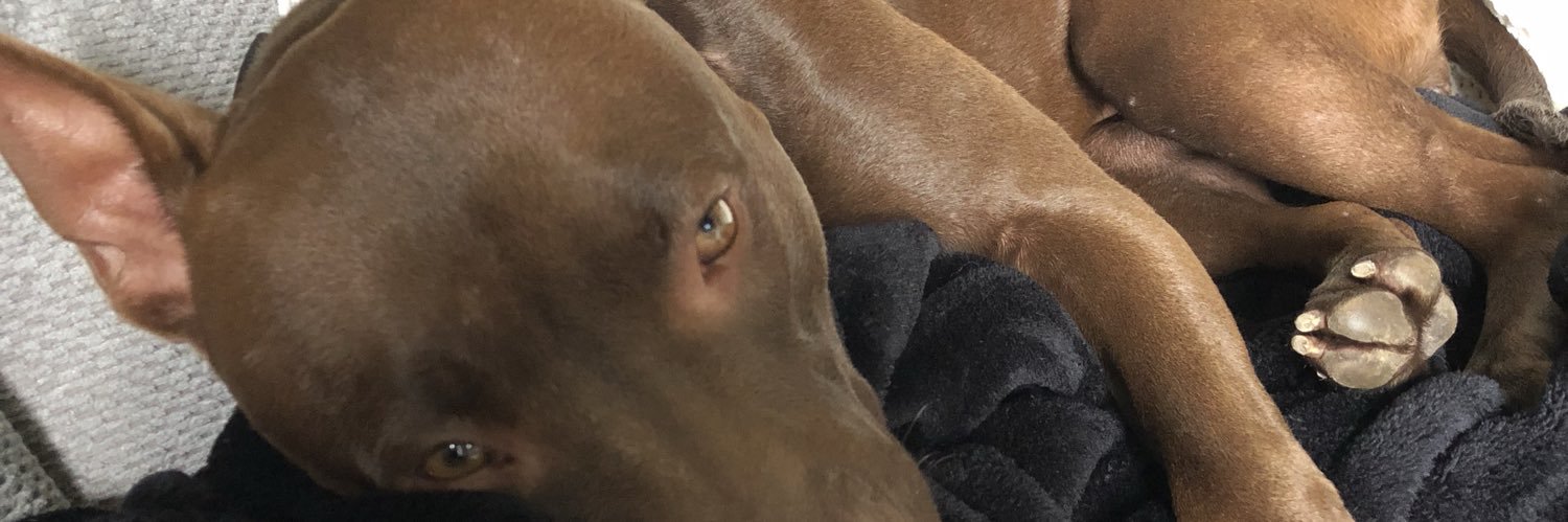 jpsims_'s profile banner image