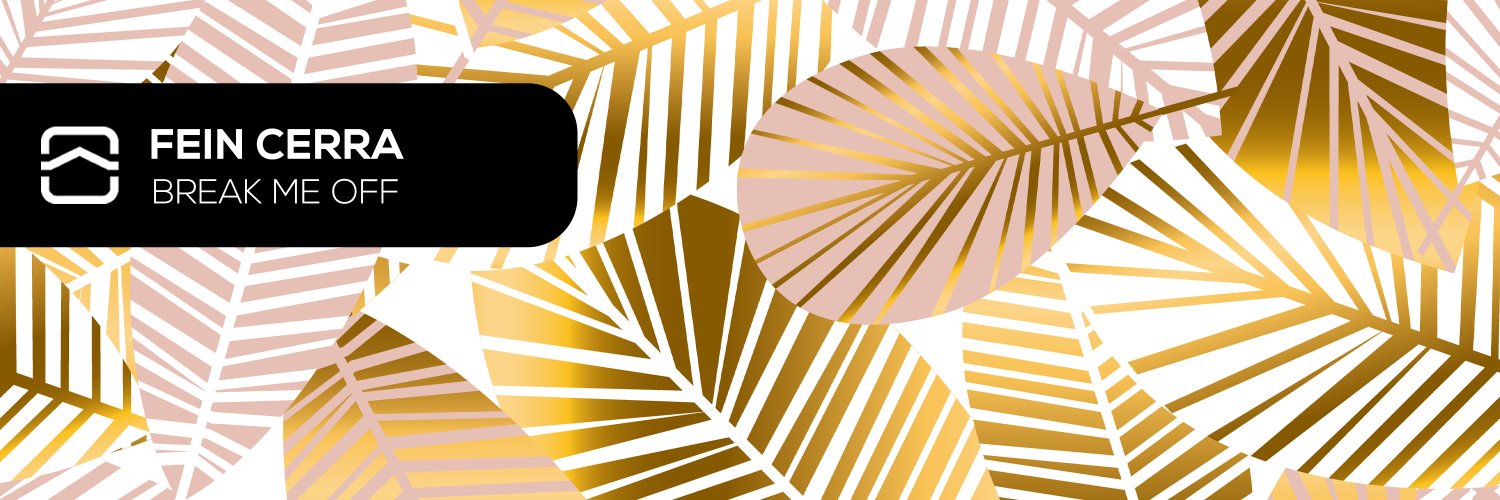 Build It Records banner