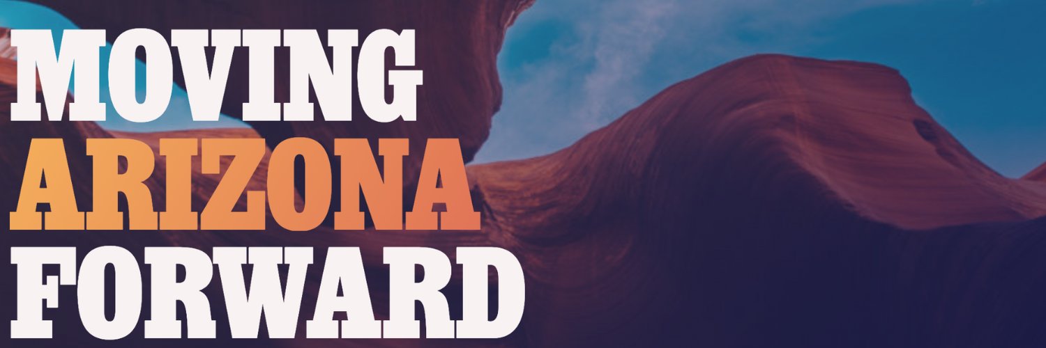 Arizona Democratic Party's banner