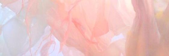 Mariis.Co banner