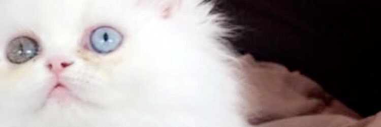 AteneG's profile banner image