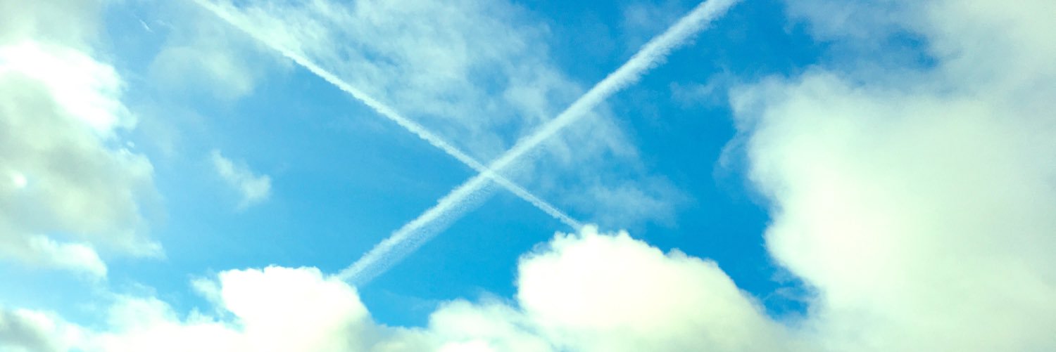 Michelle McCue banner