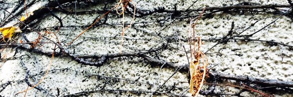 CraigLangran Profile Banner