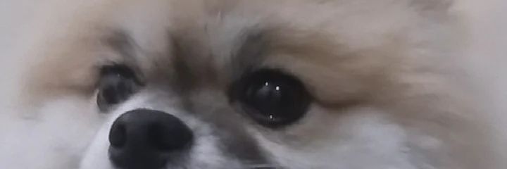 rahfbh's profile banner image
