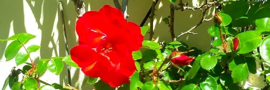 AnaBp03's profile banner image