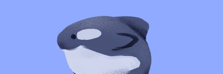ffnissa's profile banner image