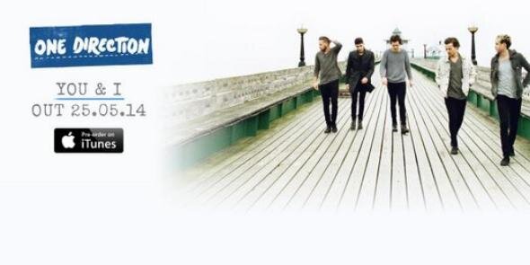 One Direction banner