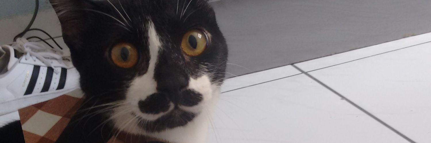 JoiiceMee's profile banner image