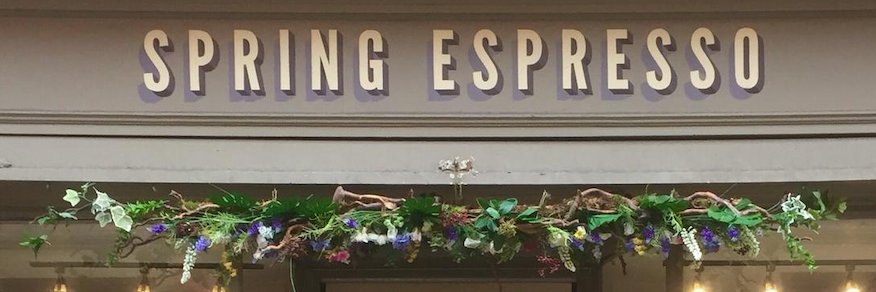 SpringEspresso's profile banner image
