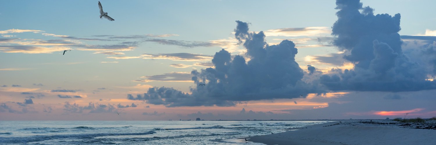 leenheermiddel's profile banner image