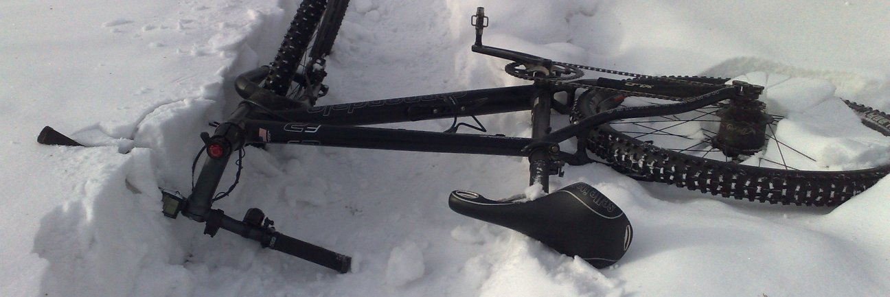 Mikko Manninen banner