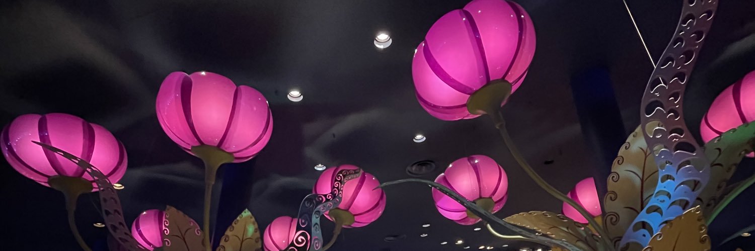 sbeic24's profile banner image