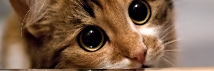 87bey's profile banner image