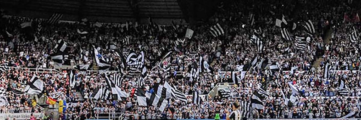 Ian McWilliams banner