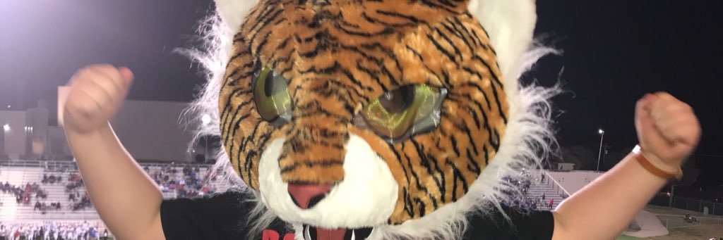 Ginger Greenberg banner