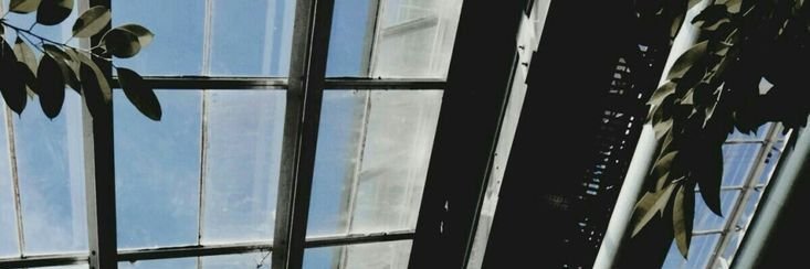 Rudi Cavalieri banner