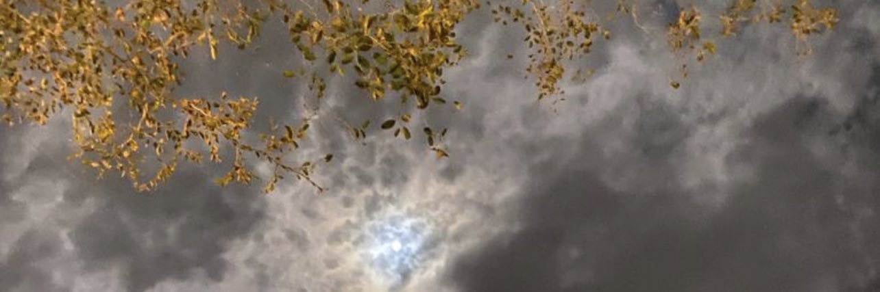 bin_zaid33's profile banner image