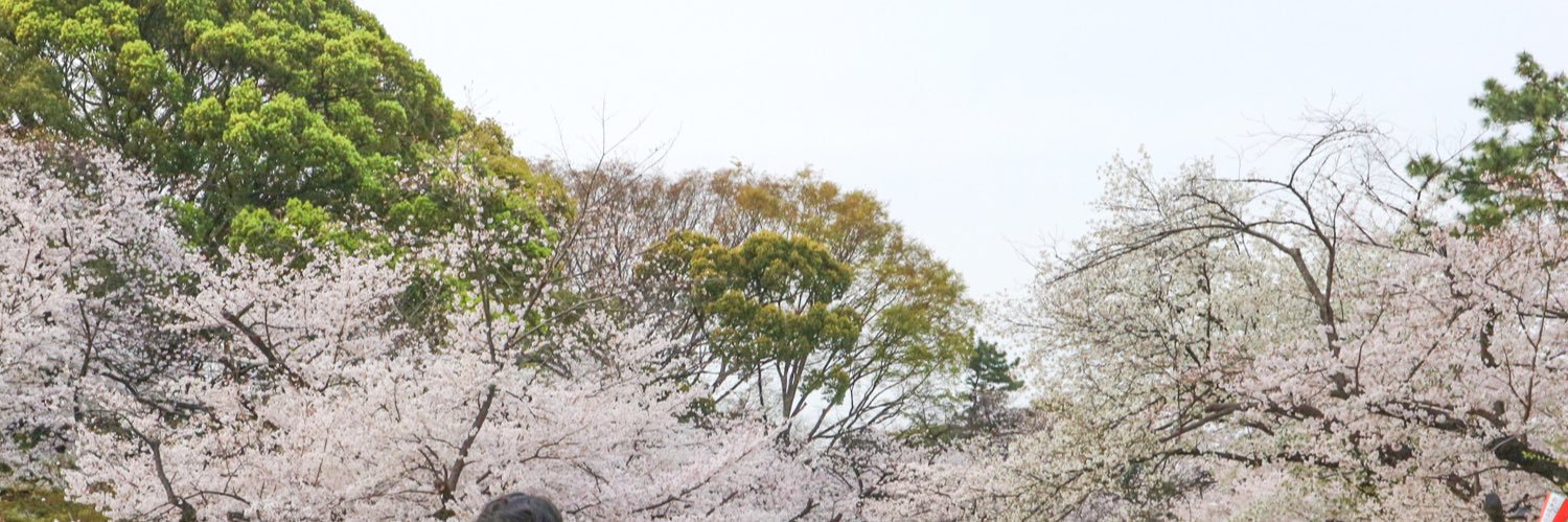 nts_1999's profile banner image