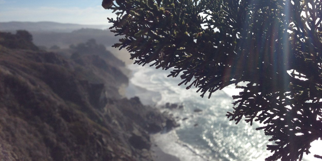 JaredHermelin's profile banner image
