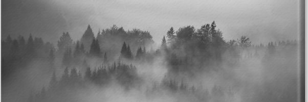 Kilombo_'s profile banner image