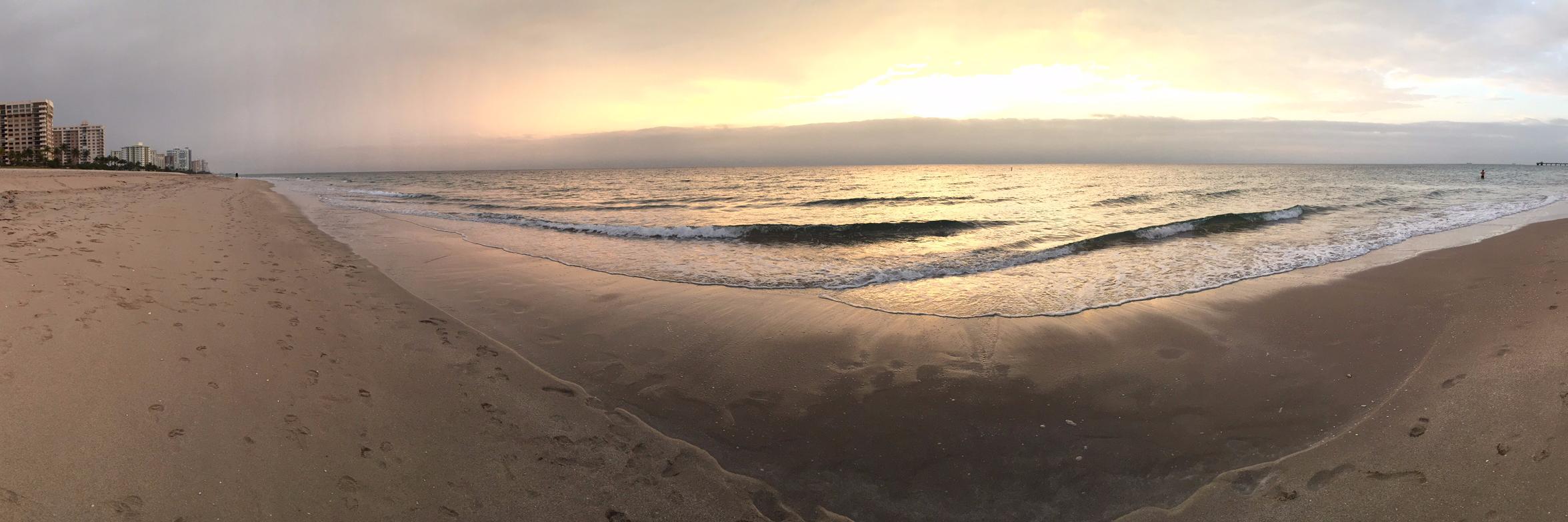 Nancy Holincheck banner