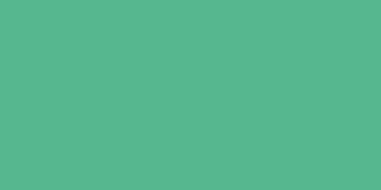 thesmartrabbit's profile banner image